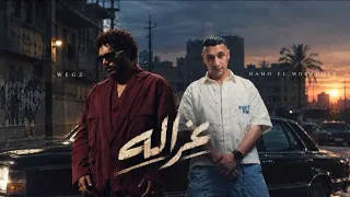 ويجز و حمو المرشدى  غزاله                                                   دندنها