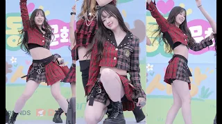 아이아이아이 수빈 | iii SOOBIN 261025 양주시반려동물문화축제 축하공연 직캠 [포피든미드나잇+웨잇+커버]