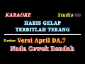 HABIS GELAP TERBITLAH TERANG // KARAOKE NADA CEWEK RENDAH // VERSI APRIL DA 7