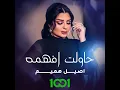 حاولت افهمه