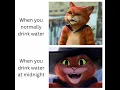 Puss In Boots Memes Part 6