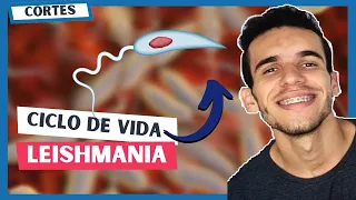 CICLO de vida da LEISHMANIOSE  (Leishmania)🦟 - Parasitologia - Luix Nascimento Biologia
