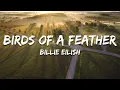 Download Lagu Billie Eilish - BIRDS OF A FEATHER (Lyrics)