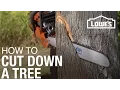 How To Cut Down A Tree