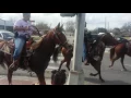 MLK Day Parade Trail riders coming up Cullen - Houston Tx January 16 2017