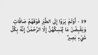 سوره الملك من ١٨ الى ٢٦ 