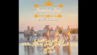      براق النور  سر التجلي  إعادة تأهيل العقل الباطن لإستقبال طاقات التجلي لتحقيق المعجزات     دندنها