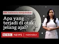 Download Lagu Apa yang terjadi pada otak setelah kita meninggal dunia? - BBC News Indonesia