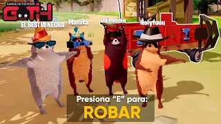 MAPACHES LADRONES PROFESIONALES