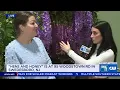 Hens and Honey Shoppe PHL17 Morning News