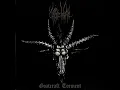 Urgehal - Satanic Black Metal in Hell