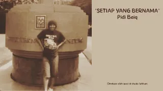 setiap yang bernama pidi baiq the panasdalam