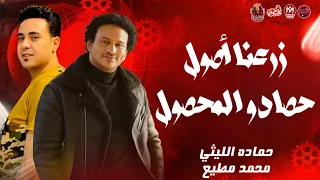 زرعنا اصول حصادو المحصول صرفو الجنيهات ع المزجات حماده الليثي توزيع محمد مطيع 2024 