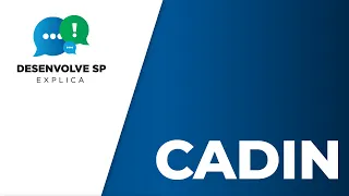 Desenvolve SP Explica: O que é o Cadin Estadual?