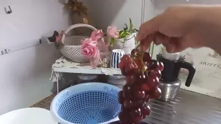 عندك العنب صوبيه ف الدار ما بقاش تشريه لانش بوكس كل نهار مالك على حالتك أختي هاانا سهلتها عليك     دندنها