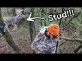 Bowhunting Whitetail Bucks in Tennessee Self-Filmed