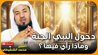 الشيخ محمد الشنقيطى دخول النبي الجنة وماذا رأي فيها 
