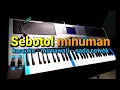 Lagu Karaoke dut koplo //sebotol minuman// NADA cewek //mirnawati// by jampangpbg //psr670