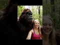 Lagu Bigfoot Finds a Baddie in the Woods!