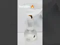 Download Lagu fire in bottle prank #shorts #ytshorts #trending @BeatboxJCOP @SurfnboyShorts @itsCamCasey