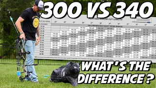 Do Spine Numbers Really MATTER - The 300 vs The 340 can you have both in your quiver