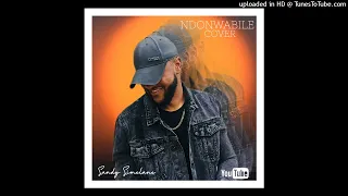 ndonwabile unathi mzekeli cover 