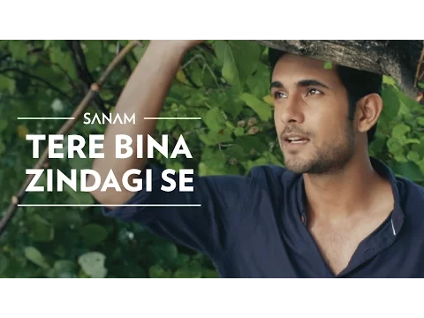 Download MP3 Tere Bina Zindagi Se | Sanam