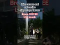 Download Lagu Live musik/brees COFFEE//cover-whero(tulang rusuk)