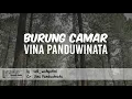 Lagu Burung Camar | Vina Panduwinata