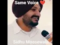 Download Lagu Sidhu Moosewala Duplicate Same Voice ❤️#295#sidhumoosewala#shorts