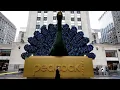 MSNBC will become MS NOW lose peacock logo before Comcast spinoff REUTERS