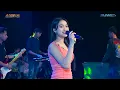Download Lagu LIWUNG YESSA OKTAVIA - AMELIA MUSIC HAPPY WEDDING ULUM \u0026 PUTRI | NUGROHO AUDIO