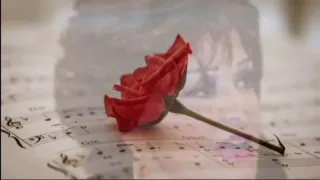 وردة يا زمان يا زمان ولاد الحلال  وردة يا زمان يا زمان ولاد الحلال