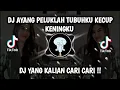 Download Lagu DJ AYANG - PELUKLAH TUBUHKU KECUP KENINGKU  DJ TIKTOK TERBARU 2022 AYANG