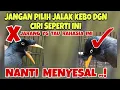 Download Lagu JANGAN PILIH JALAK KEBO DENGAN CIRI SEPERTI INI, JIKA DIPILIH PASTI MENYESAL !
