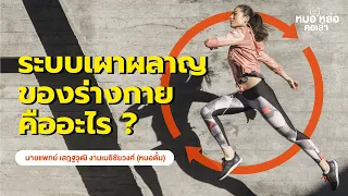 พลังงานในร่างกายที่สำคัญที่สุดคืออะไร และเกิดจากอะไร