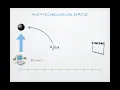 D3 Data Loading 3 Asynchronicity