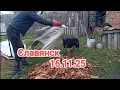 В Славянске тише чем вчера/ Уборка в садку/ Выкачиваем септик/ Борабака на прогулке.