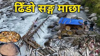 खोलाको किनारमा एक दिन एक रात | माछा खादै अर्गानिक रमाइलो | एक रातमै यतिधेरै माछा | amazing fishing