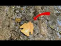 How To Find Arrowheads Arrowhead Hunting TN