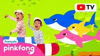 [BEST🕺] Danse à la chanson Baby Shark EN&FR🇬🇧🇫🇷 | +Comptines | Bébé Requin ! Chansons pour Enfants
