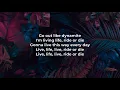 The Knocks ft. Foster the People - Ride or Die (LYRICS)