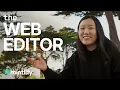 The Better Mintlify Web Editor