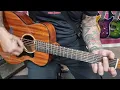 Haze 12 String Acoustic Guitar