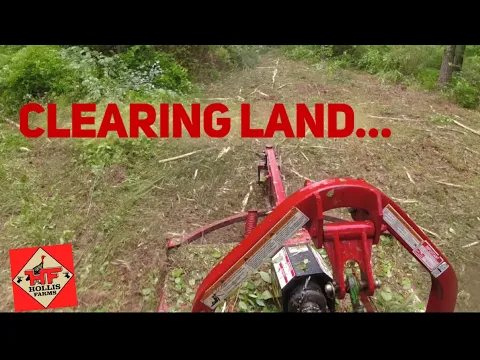 Download MP3 CLEARING LAND🌲🌲🌲 With The Brown Tree Cutter!