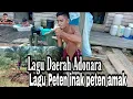 Lagu Daerah Adonara Peten Inak Peten Amak