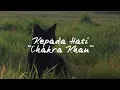 Download Lagu Kepada Hati Aku katakan -Chakra Kan(Speed up + Reverb)#yanglagiviral#yangkaliancari #soundtiktok