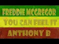 Freddie McGregor [feat  Anthony B] - You Can Feel It