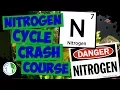 Nitrogen Cycle Crash Course Tutorial - Fish Tank Nitrogen Cycle Explained
