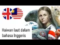Download Lagu Haiwan laut dalam bahasa Inggeris (Suara wanita, latar belakang hitam)